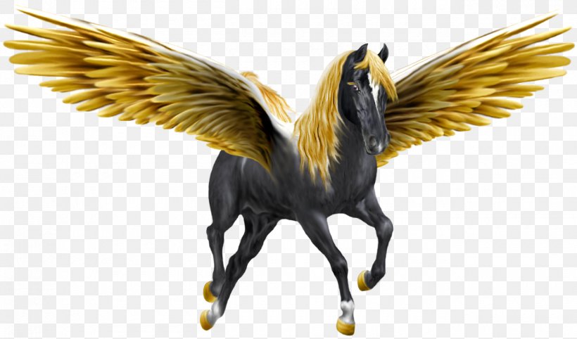 Pegasus Winged Unicorn Horse, PNG, 1300x765px, Pegasus, Beak, Bird, Fauna, Feather Download Free
