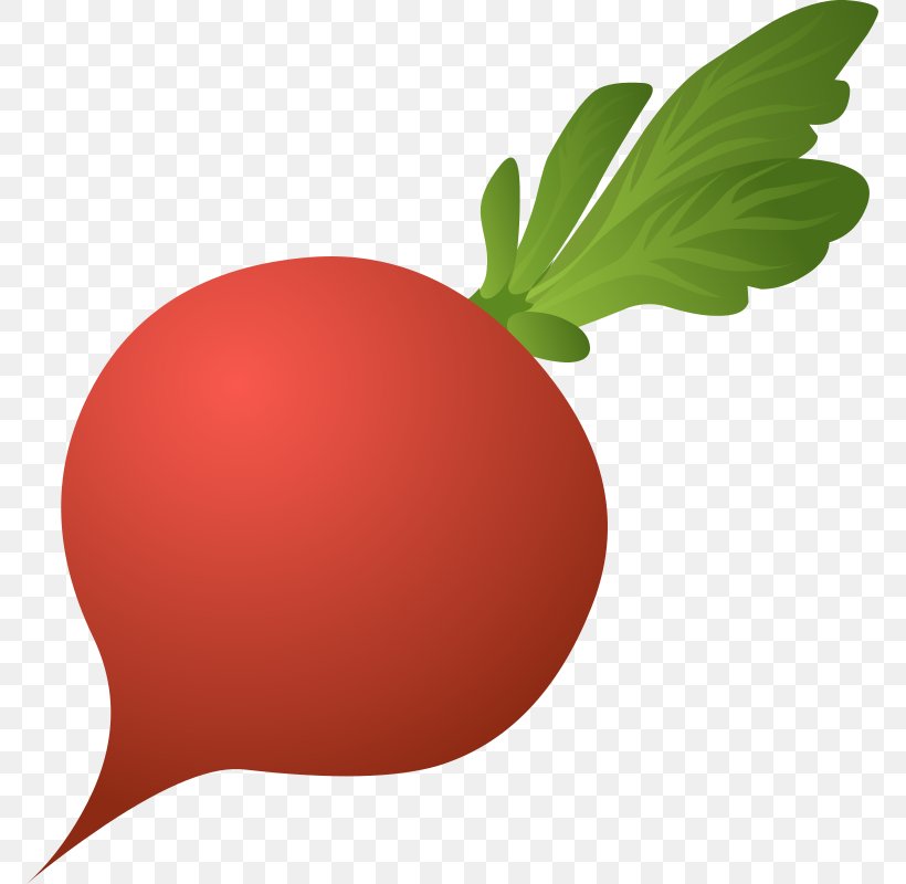 Daikon Beetroot Vegetable Clip Art, PNG, 771x800px, Daikon, Beetroot, Food, Fruit, Health Download Free