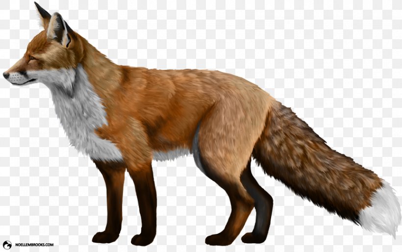 Domesticated Red Fox Clip Art, PNG, 863x542px, Domesticated Red Fox, Canidae, Carnivoran, Dog Breed, Dog Like Mammal Download Free