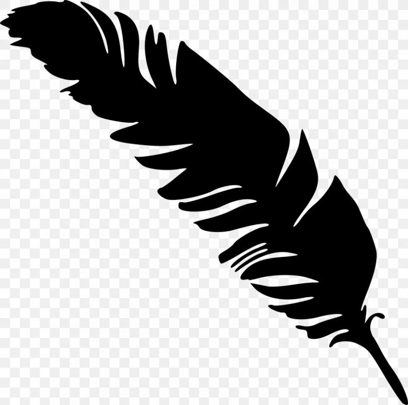 Feather Clip Art, PNG, 850x845px, Feather, Autocad Dxf, Beak, Bird, Bird Of Prey Download Free