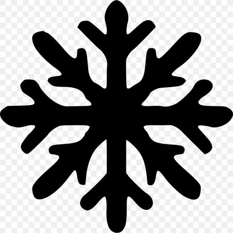 Snowflake, PNG, 980x978px, Snowflake, Black And White, Crystal, Leaf, Rain And Snow Mixed Download Free