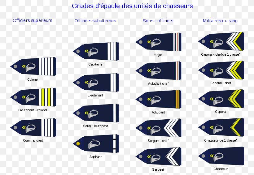France Chasseurs Alpins French Army Military, PNG, 800x566px, France, Blue, Brand, Cadet, Chasseur Download Free