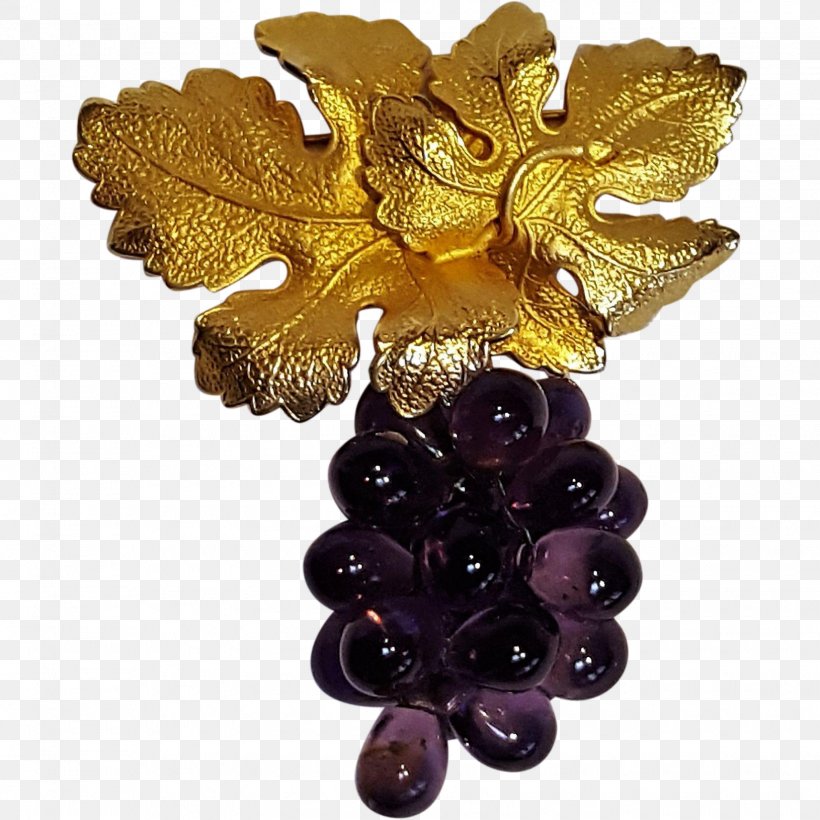 Grape Jewellery, PNG, 1630x1630px, Grape, Fruit, Grapevine Family, Jewellery, Vitis Download Free