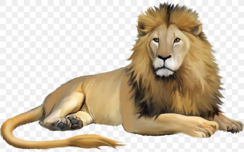 Lion Cartoon Animal Illustration, PNG, 1000x624px, Lion, Animal, Animation, Big Cats, Carnivoran Download Free