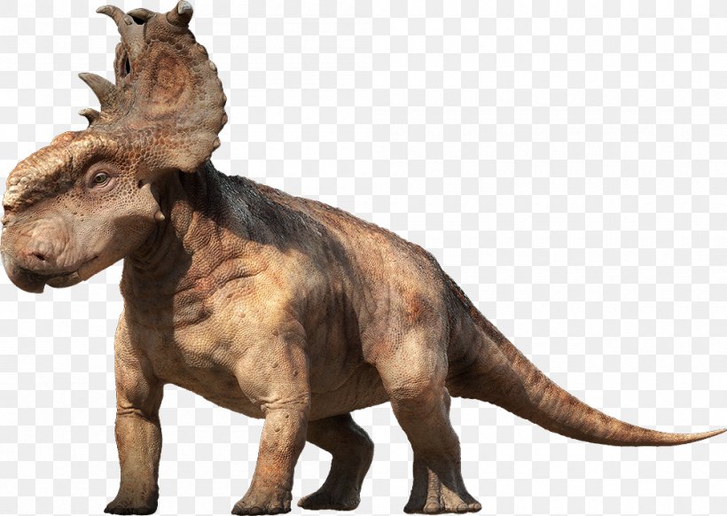 Pachyrhinosaurus Edmontosaurus Ceratopsia Gorgosaurus Dinosaur, PNG, 1000x710px, Pachyrhinosaurus, Ceratopsia, Ceratopsidae, Death Of A Dynasty, Dinosaur Download Free