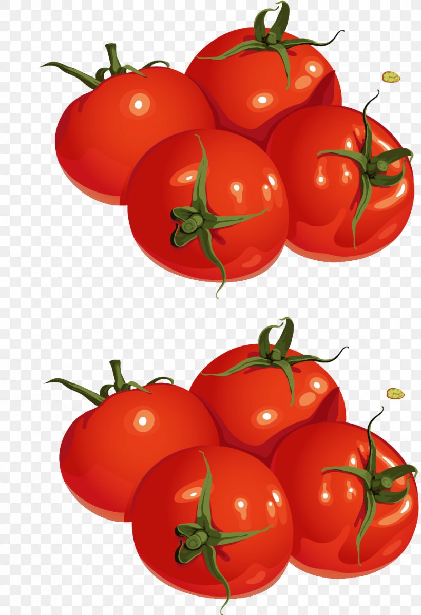 Plum Tomato Cherry Tomato Bush Tomato Drawing, PNG, 905x1323px, Plum Tomato, Apple, Bell Peppers And Chili Peppers, Bush Tomato, Cherry Download Free