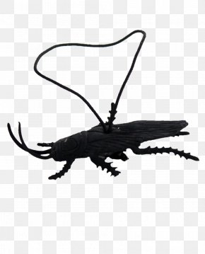 Black Modern Simulation April Fool's Day Prank Cockroach - Cockroach April Fools Day Hoax PNG