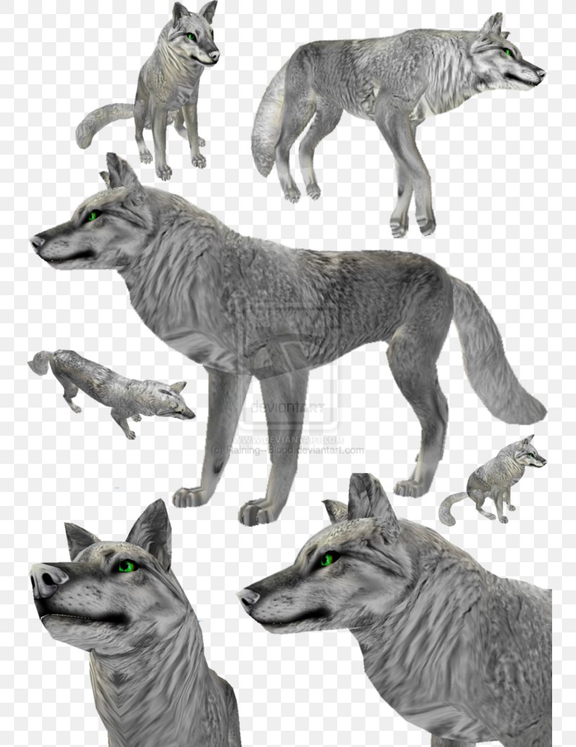 Dog Coyote Fur Gray Wolf, PNG, 752x1063px, Dog, Art, Carnivoran, Coyote, Deviantart Download Free