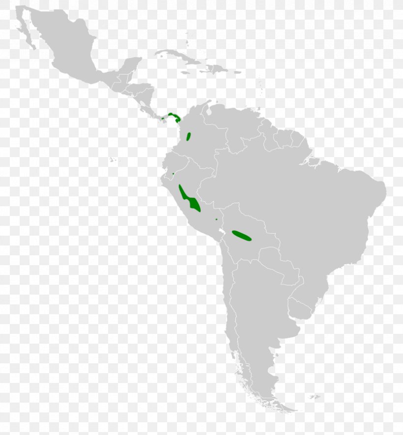 Latin America South America United States Region, PNG, 832x899px, Latin America, Americas, Geography, Map, Region Download Free