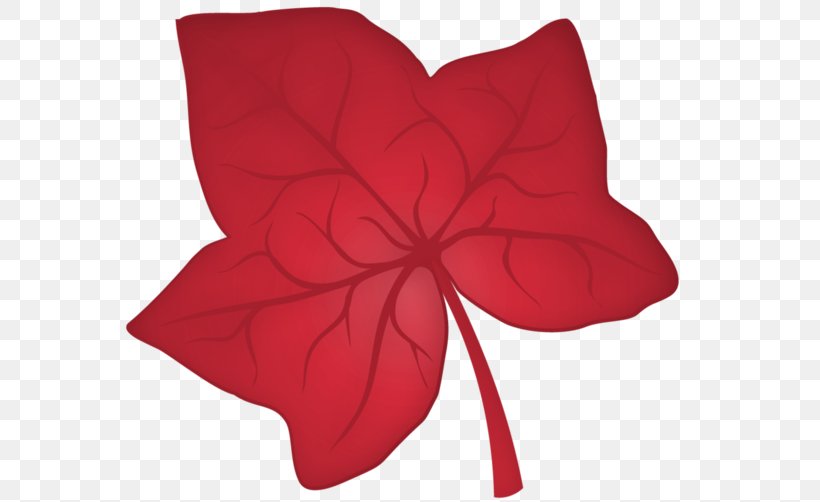 Maple Leaf, PNG, 600x502px, Maple Leaf, Cartoon, Flower, Flowering Plant, Leaf Download Free