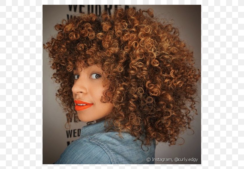 Afro Hair Coloring Brown Hair Chestnut, PNG, 790x569px, Afro, Afrotextured Hair, Blond, Brown, Brown Hair Download Free