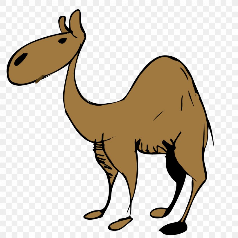 Dromedary Desert Clip Art, PNG, 1276x1276px, Dromedary, Arabian Camel, Beak, Camel, Camel Like Mammal Download Free