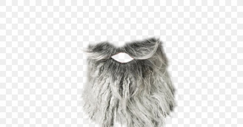 Feather Fur Clothing White, PNG, 1200x630px, Feather, Black And White, Clothing, Fur, Fur Clothing Download Free