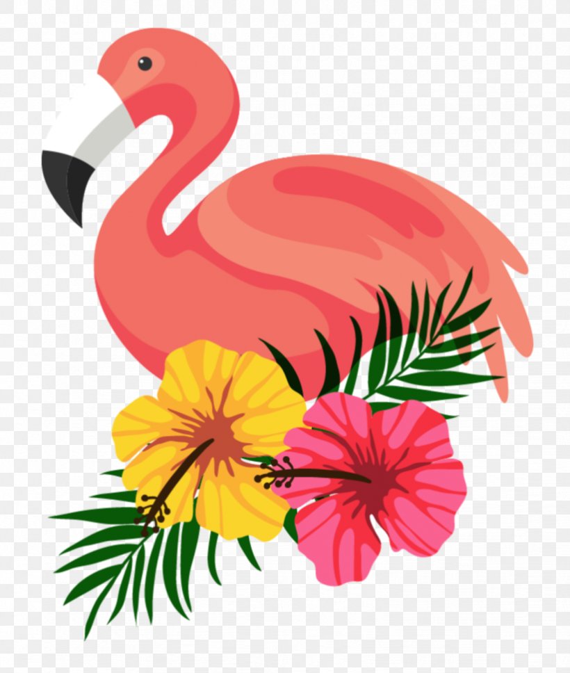 Flamingo Clip Art, PNG, 822x971px, Flamingo, Art, Beak, Bird, Chicken Download Free