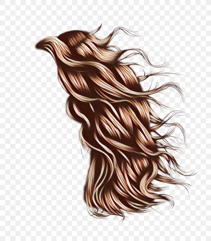 Hair Long Hair Brown Hairstyle Brown Hair, PNG, 835x957px, Cartoon, Artificial Hair Integrations, Blond, Brown, Brown Hair Download Free