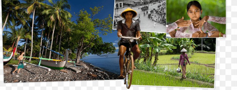 Komodo Flores Lombok Bali Sumbawa, PNG, 1366x520px, Komodo, Bali, Bicycle, Cycling, Cyclo Cross Download Free