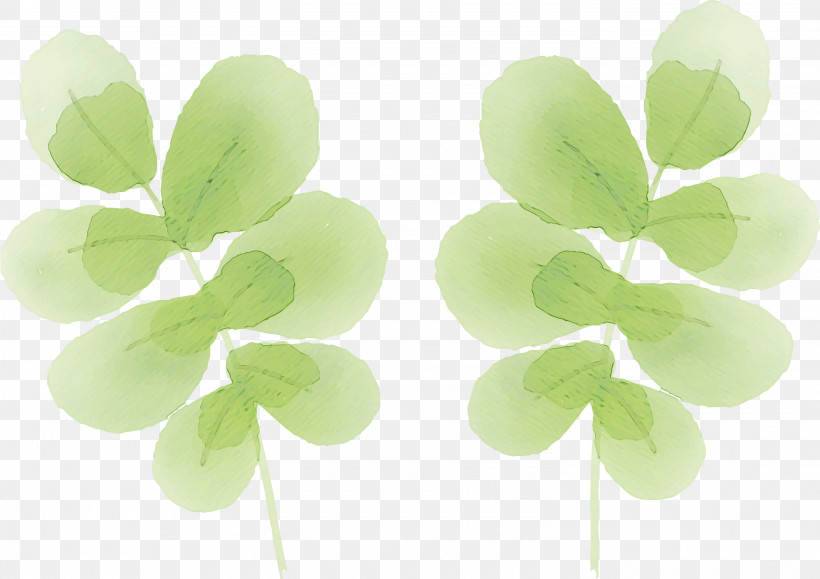 Shamrock, PNG, 3000x2119px, Watercolor, Biology, Green, Leaf, Paint Download Free