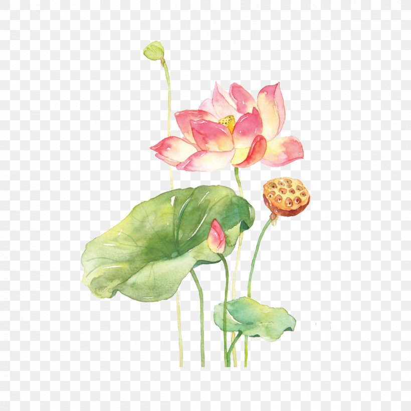 Watercolor Painting Drawing Art Cream, PNG, 1200x1200px, Watercolor Painting, Antiaging Cream, Art, Artificial Flower, Book Download Free