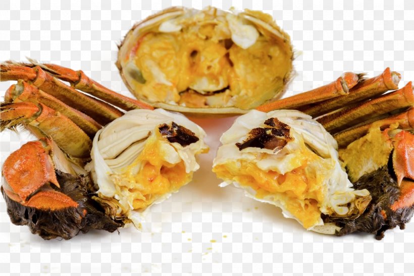 Chinese Mitten Crab Eating Food U87f9u9ec3u6e6fu5305, PNG, 1024x682px, Crab, Animal Source Foods, Appetizer, Autumn, Chinese Mitten Crab Download Free