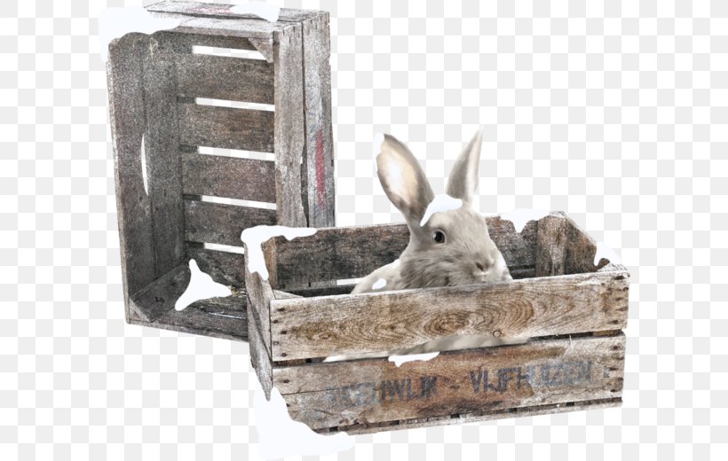 Domestic Rabbit European Rabbit Leporids Blog, PNG, 600x520px, Domestic Rabbit, Animal, Belle, Blog, Box Download Free