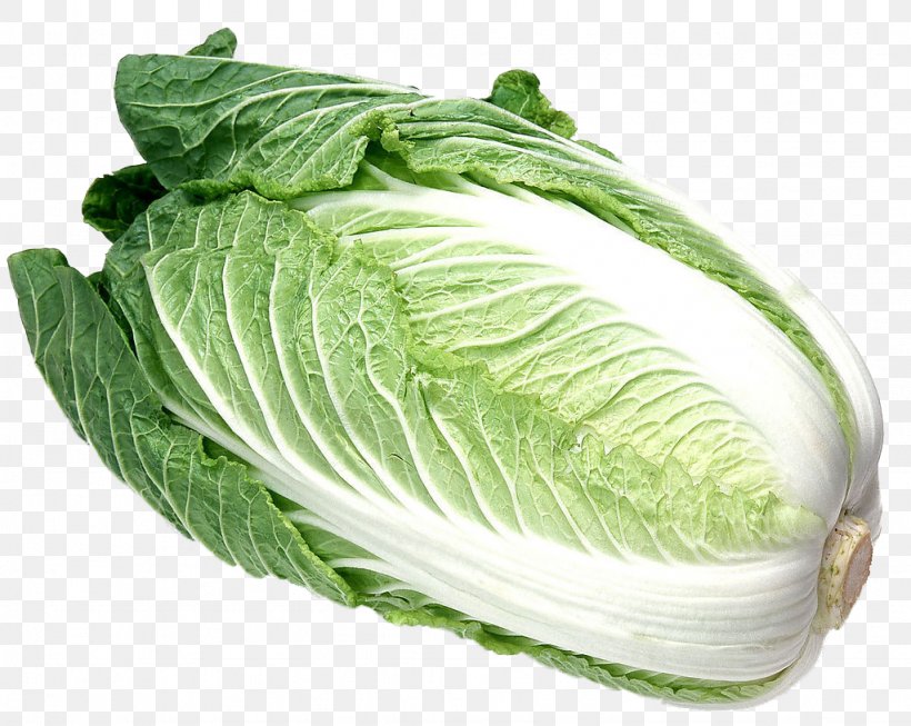 Napa Cabbage Malatang Chinese Cuisine Vegetable, PNG, 1024x816px, Cabbage, Brassica Oleracea, Chard, Chinese Cabbage, Chinese Cuisine Download Free