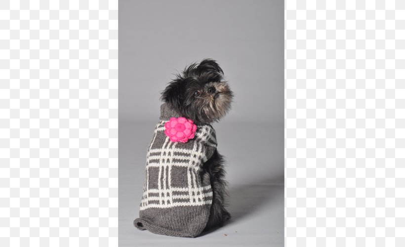 Affenpinscher Dog Breed Schnoodle Puppy Clothing, PNG, 500x500px, Affenpinscher, Clothing, Coat, Dog, Dog Breed Download Free