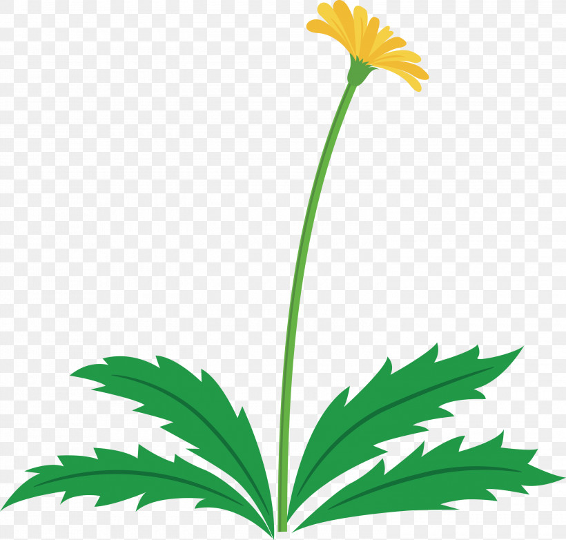 Dandelion Flower Easter Day Flower Spring Flower, PNG, 3000x2864px, Dandelion Flower, Easter Day Flower, Flower, Leaf, Pedicel Download Free
