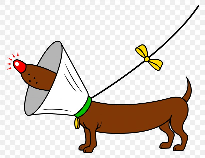 Dog Puppy Pet Leash Veterinarian, PNG, 3300x2550px, Dog, Area, Canidae, Carnivoran, Cartoon Download Free