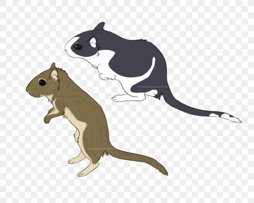 Gerbil Mouse Cat Clip Art, PNG, 900x720px, Gerbil, Carnivora, Carnivoran, Cat, Cat Like Mammal Download Free