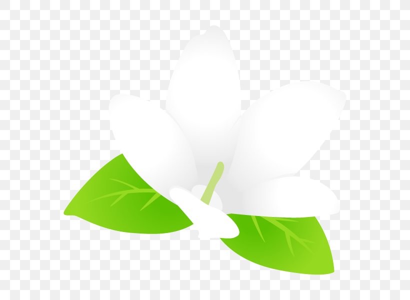 Leaf Graphics Product Design, PNG, 600x600px, Leaf, Grass, Green, Plant Download Free