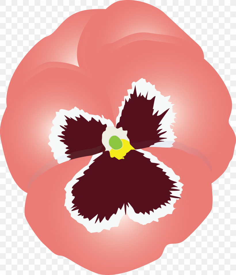 PANSY Spring Flower, PNG, 2571x3000px, Pansy, Cattleya, Flower, Petal, Pink Download Free
