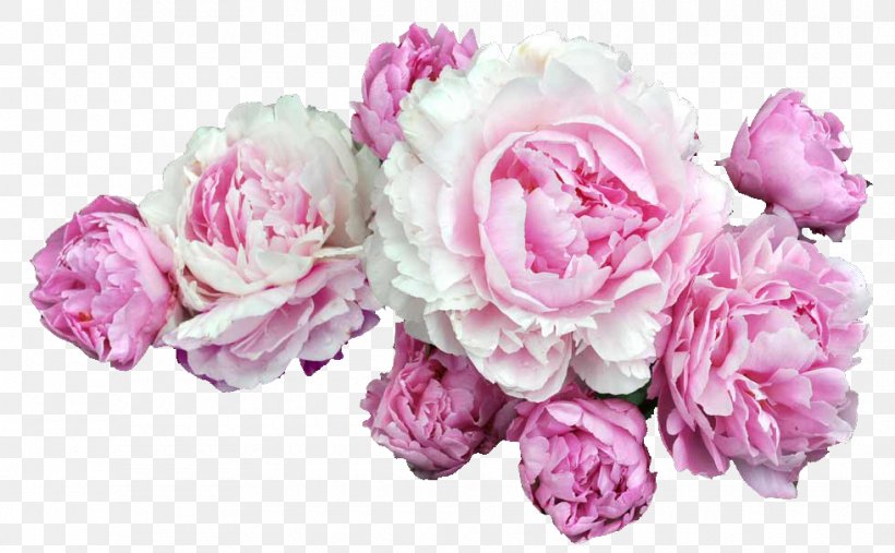 Pink Flowers Desktop Wallpaper Clip Art, PNG, 980x607px, Flower, Artificial Flower, Color, Cut Flowers, Floral Design Download Free
