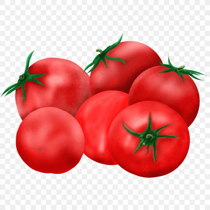 Plum Tomato T-shirt Bush Tomato Food, PNG, 1000x1000px, Plum Tomato, Art, Bush Tomato, Diet Food, Food Download Free