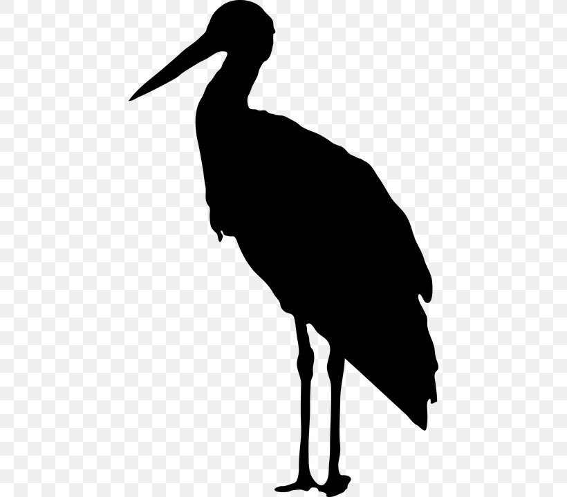 Bird Silhouette Clip Art, PNG, 448x720px, Bird, Beak, Black And White, Ciconia, Ciconiiformes Download Free