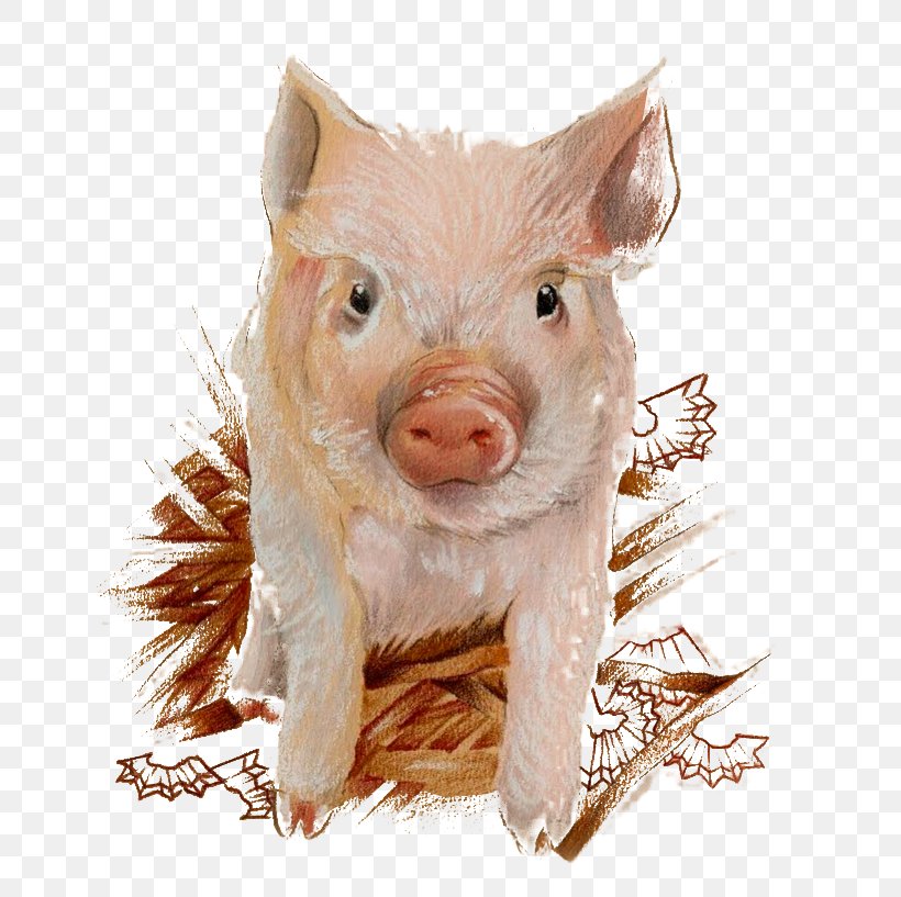 Domestic Pig Illustration, PNG, 761x817px, Domestic Pig, Calendar, Fauna, Illustrator, Livestock Download Free