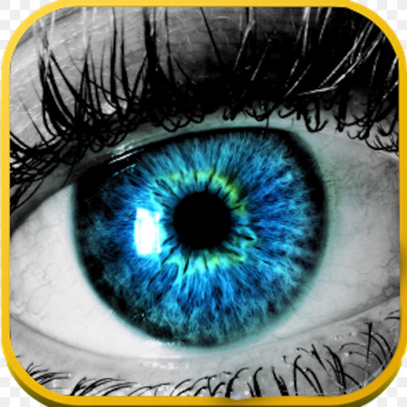 Eye Care Professional Human Eye Retina Brain, PNG, 1024x1024px, Watercolor, Cartoon, Flower, Frame, Heart Download Free