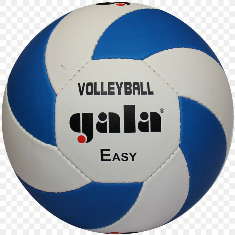 Gala Pro-Line 10 BV5581S Volleyball Medicine Balls, PNG, 1124x1124px, Ball, Brand, Football, Frank Pallone, Medicine Download Free