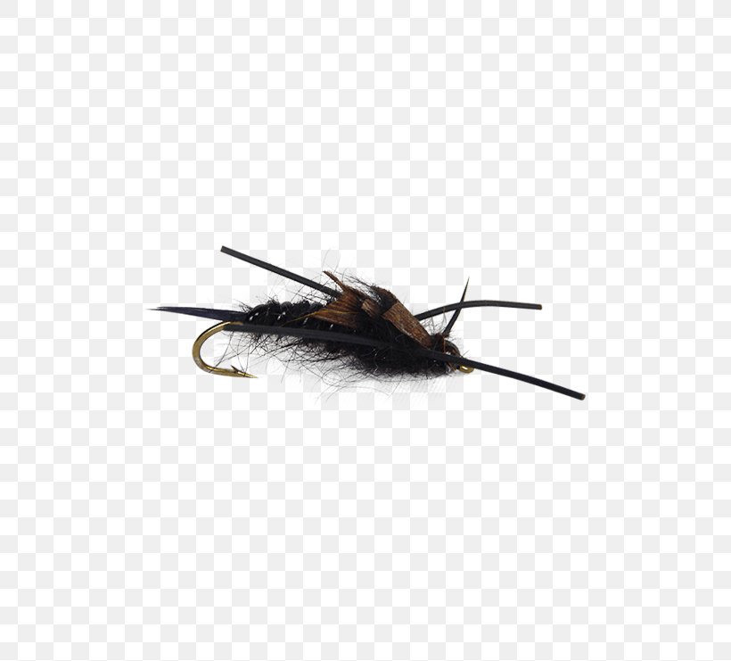 Insect Nymph Fly Fishing Holly Flies, PNG, 555x741px, Insect, Average, Feather, Fishing, Fly Fishing Download Free