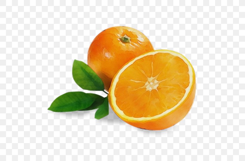Orange, PNG, 549x540px, Watercolor, Bitter Orange, Citrus, Clementine, Food Download Free