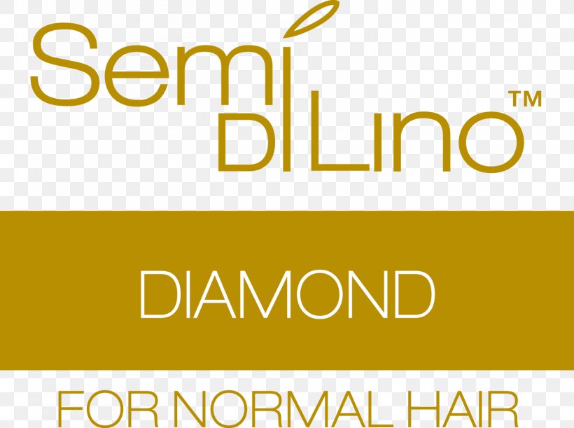 Saulino Smith Salon Cosmetologist Beauty Parlour Hair Business, PNG, 1509x1126px, Cosmetologist, Area, Beauty, Beauty Parlour, Benq W2000 Download Free