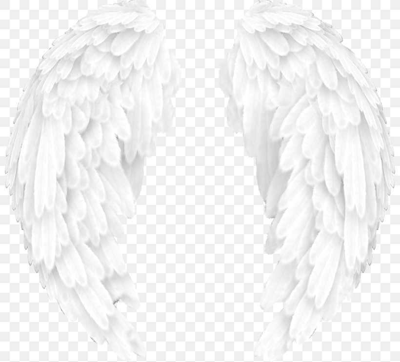 Black And White Editing Wing, PNG, 800x742px, Black And White, Angel, Animal, Dolphin, Editing Download Free