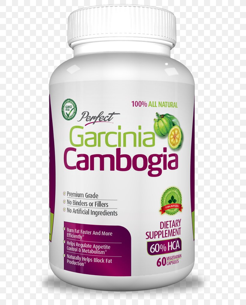 Garcinia Cambogia Dietary Supplement Weight Loss Green Coffee Extract Hydroxycitric Acid, PNG, 587x1019px, Garcinia Cambogia, Anorectic, Brand, Coffee Bean, Detoxification Download Free