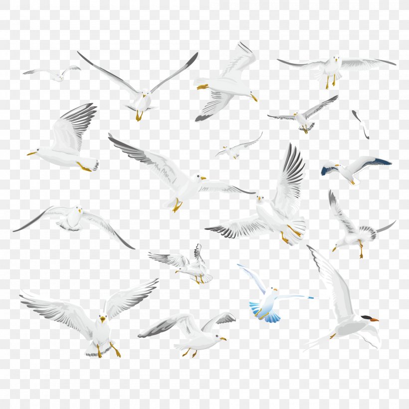 Gulls Bird Make More!, PNG, 2000x2000px, Gulls, Beak, Bird, Branch, Common Gull Download Free