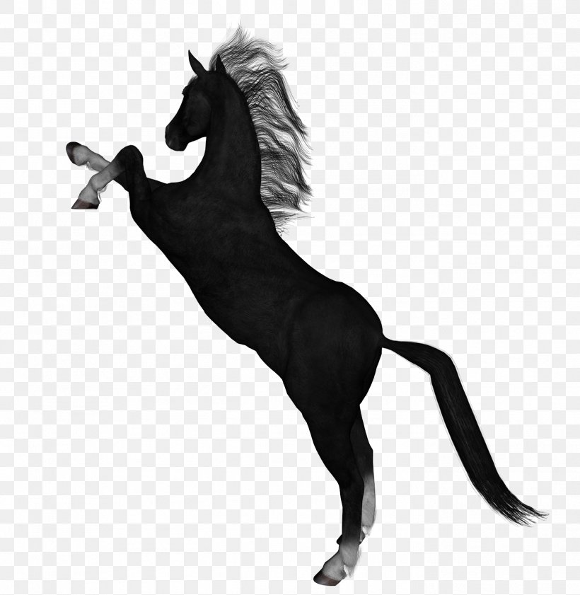 Horses Foal Colt Stallion, PNG, 1398x1434px, Horse, Animal Figure, Black And White, Colt, Fictional Character Download Free