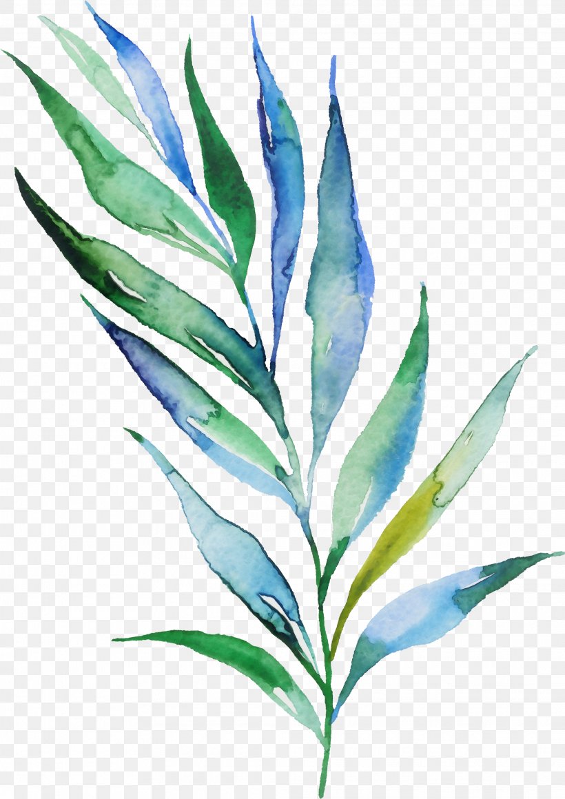 Leaf Plant Flower Herbaceous Plant Perennial Plant, PNG, 2073x2933px, Watercolor, Flower, Herbaceous Plant, Leaf, Paint Download Free