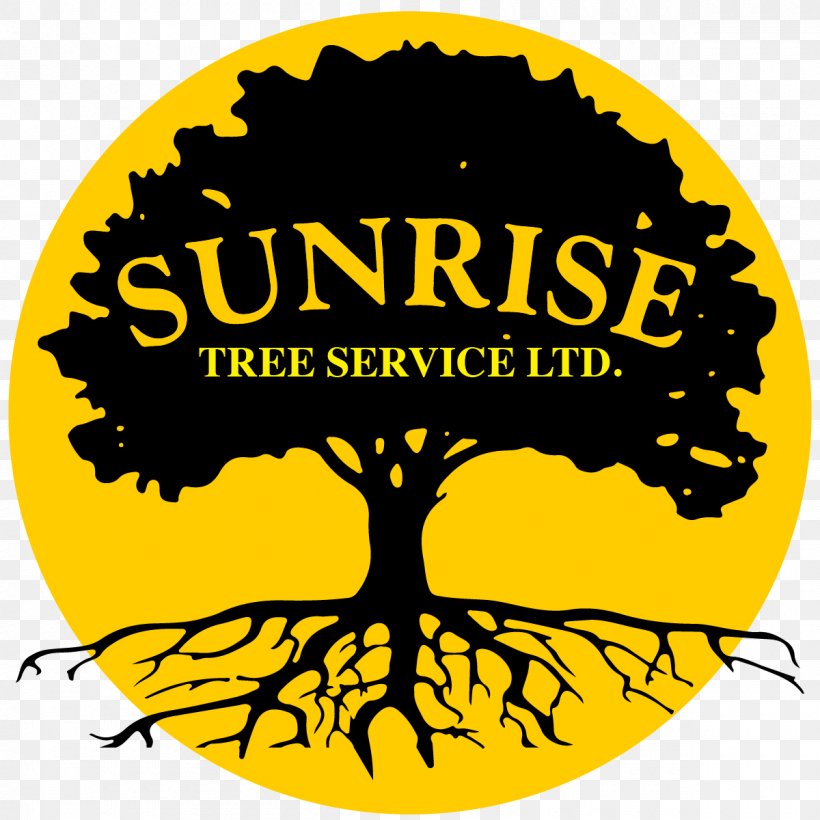 Sunrise Tree Service Oak Arborist Tree House, PNG, 1200x1200px, Tree, Arborist, Area, Artwork, Brand Download Free