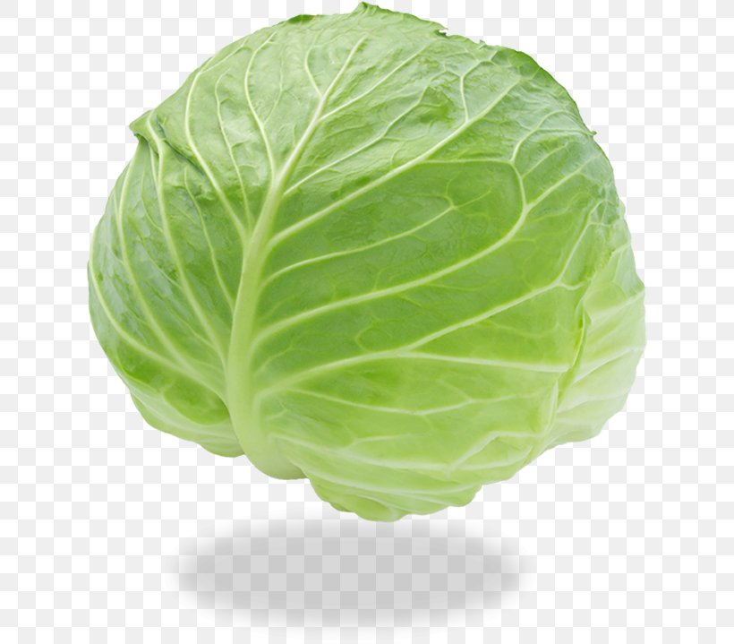 Cabbage Roll Leaf Vegetable Food, PNG, 626x719px, Cabbage, Cabbage Roll, Collard Greens, Cruciferous Vegetables, Dashi Download Free