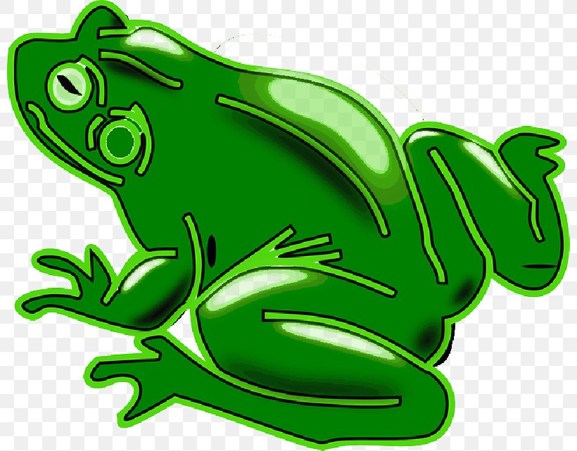 Common Frog Amphibians Clip Art Edible Frog, PNG, 800x641px, Frog, Agalychnis, Amphibian, Amphibians, Bufo Download Free