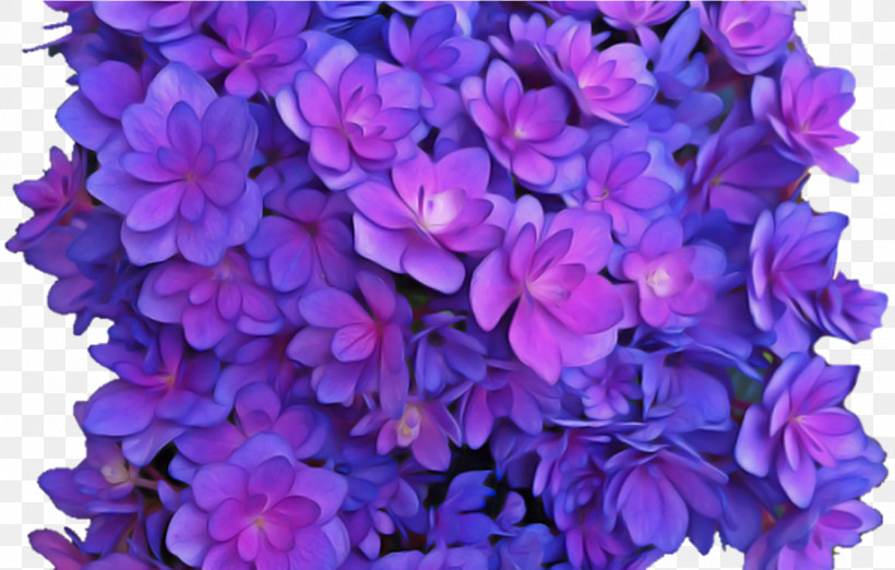 Flower Violet Wreath Blue Purple, PNG, 1343x856px, Flower, Blue, Cut Flowers, French Hydrangea, Hydrangea Download Free