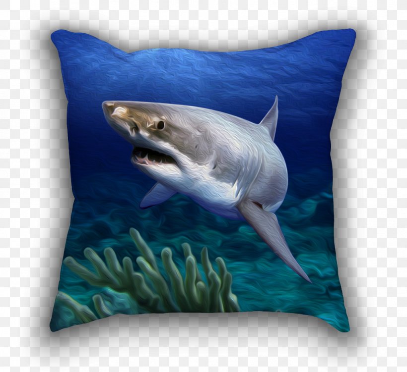 Great White Shark Bull Shark Animal Helicoprion Great Hammerhead, PNG, 1018x933px, Great White Shark, Animal, Bull Shark, Carcharodon, Cartilaginous Fish Download Free